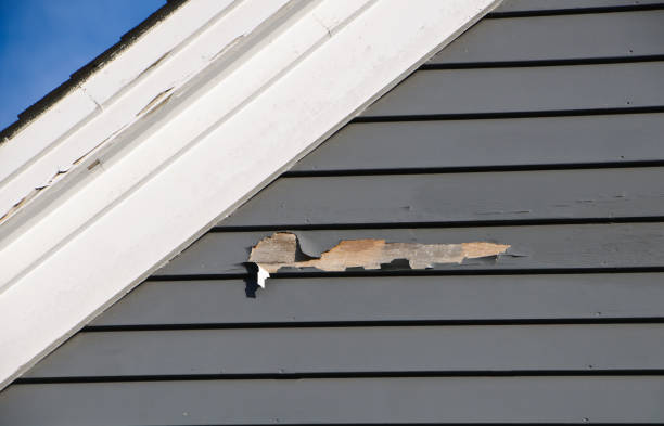 Best Shed Removal  in Mequon, WI